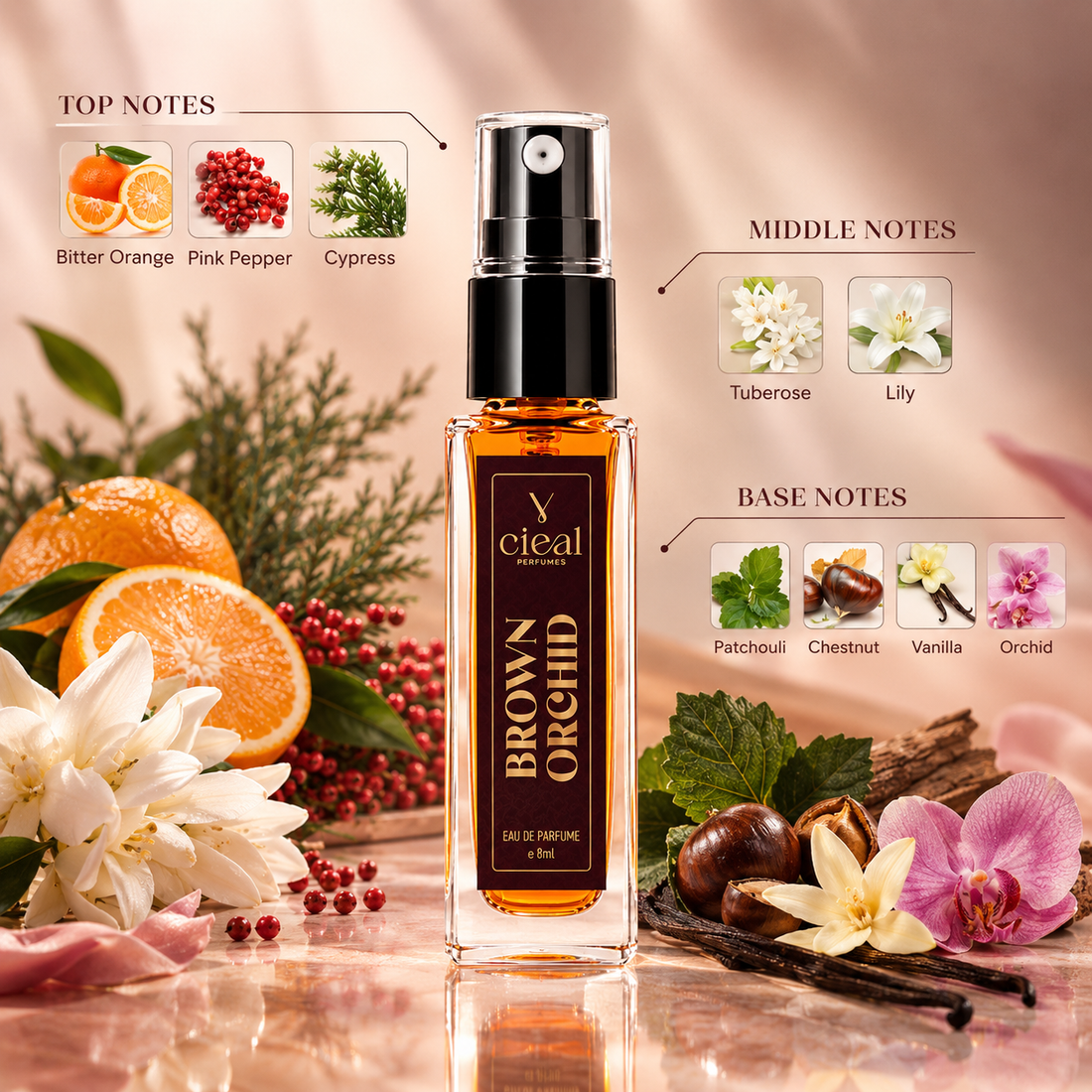 CIEAL Perfume Spray Gift Set of 3 – Amber Wood, Black Oud & Brown Orchid – 8ml Each