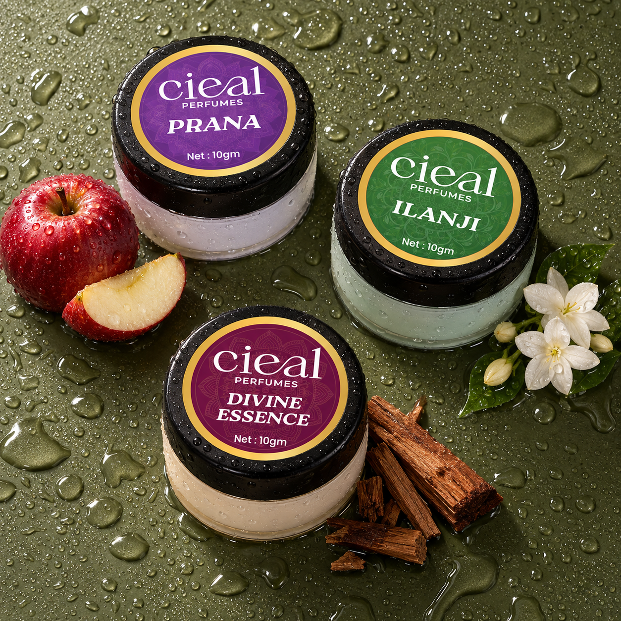 CIEAL Solid Perfume Set of 3 – Divine Essence, Prana & Ilanji 10g Each
