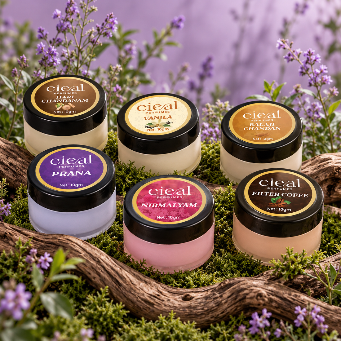 CIEAL Solid Perfume Set of 6 – Filter Coffee, Vanilla, Balaji Chandan, Hari Chandanam, Prana & Nirmalyam 10g Each