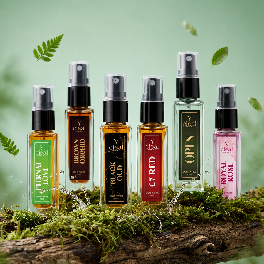 CIEAL Perfume Spray Gift Set of 6 – Open, CR7, Royal Rose, Black Oud, Brown Orchid & Eternal Love – 8ml Each
