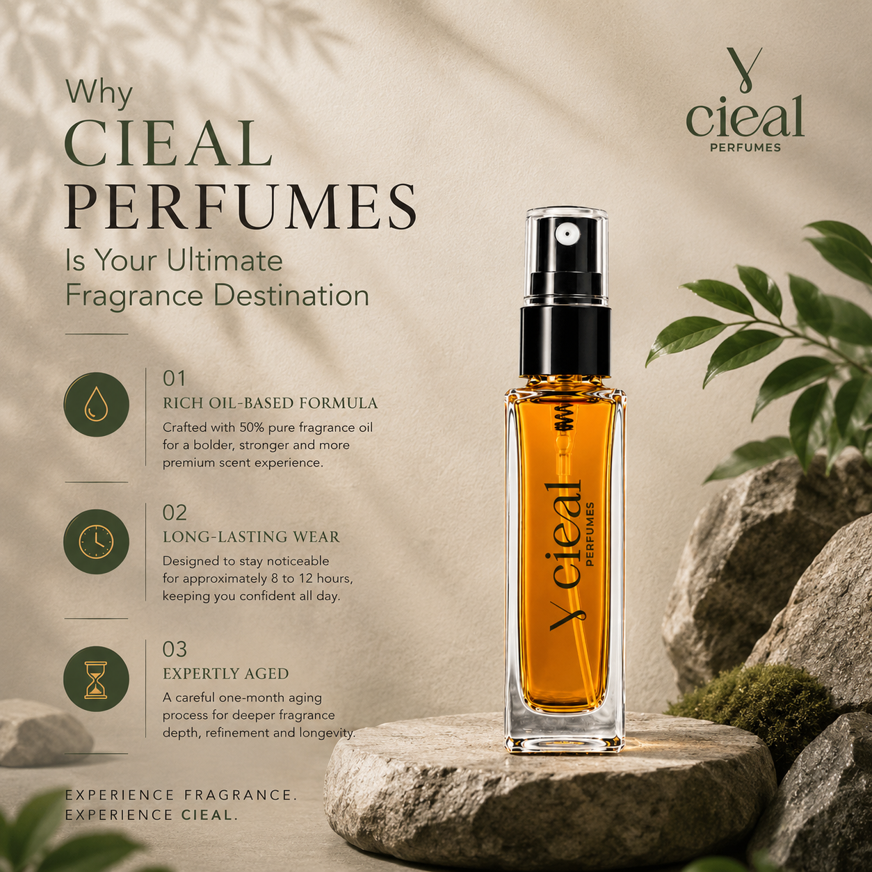 CIEAL Perfume Spray Gift Set of 3 – Arabian Oud, Red Musk  Aseel – 8ml Each