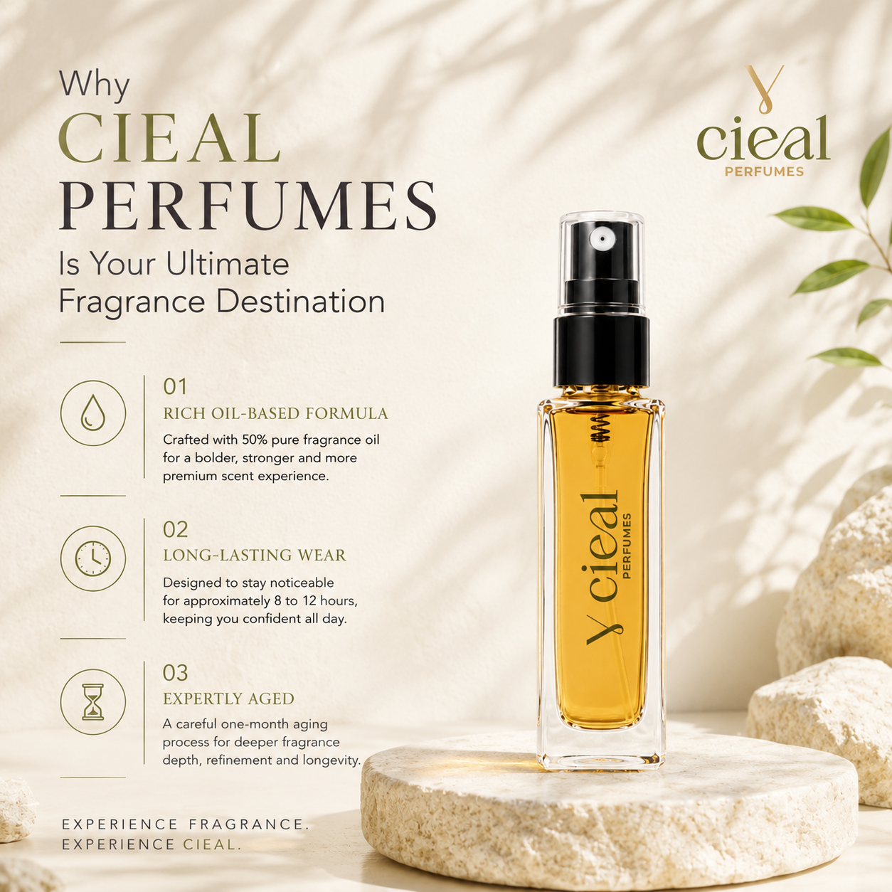 CIEAL Perfume Spray Gift Set of 3 – BLUE DE, MOST WANTED & MILLION – 8ml Each