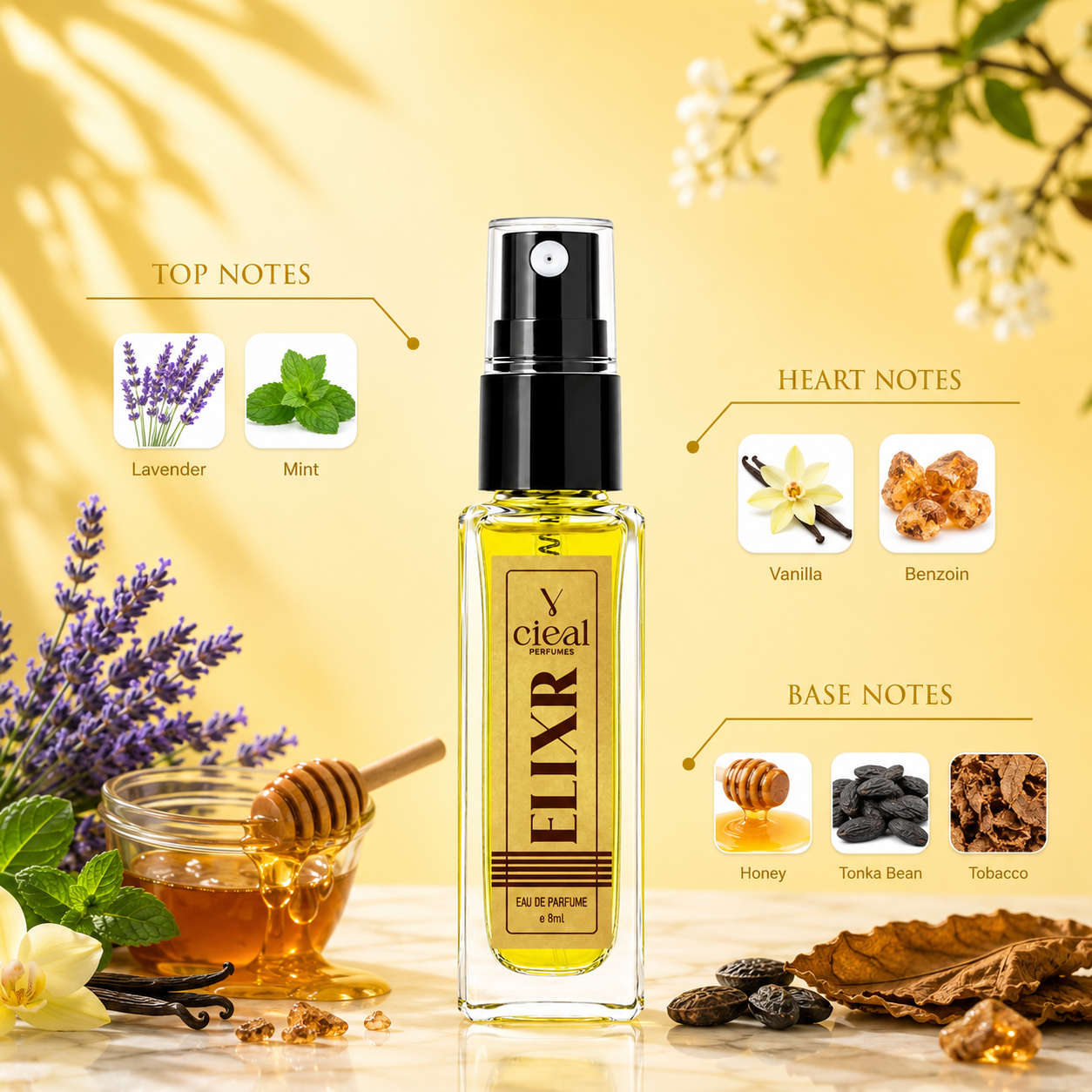 CIEAL Perfume Spray Gift Set of 3 – COCO, ELIXIR & BLUE DE – 8ml Each