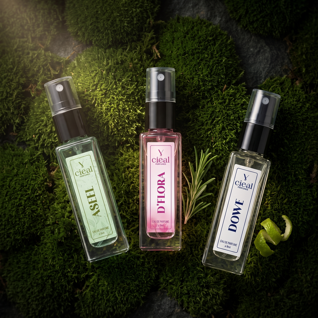 CIEAL Perfume Spray Gift Set of 3 – Aseel, D' Flora & Dowe – 8ml Each