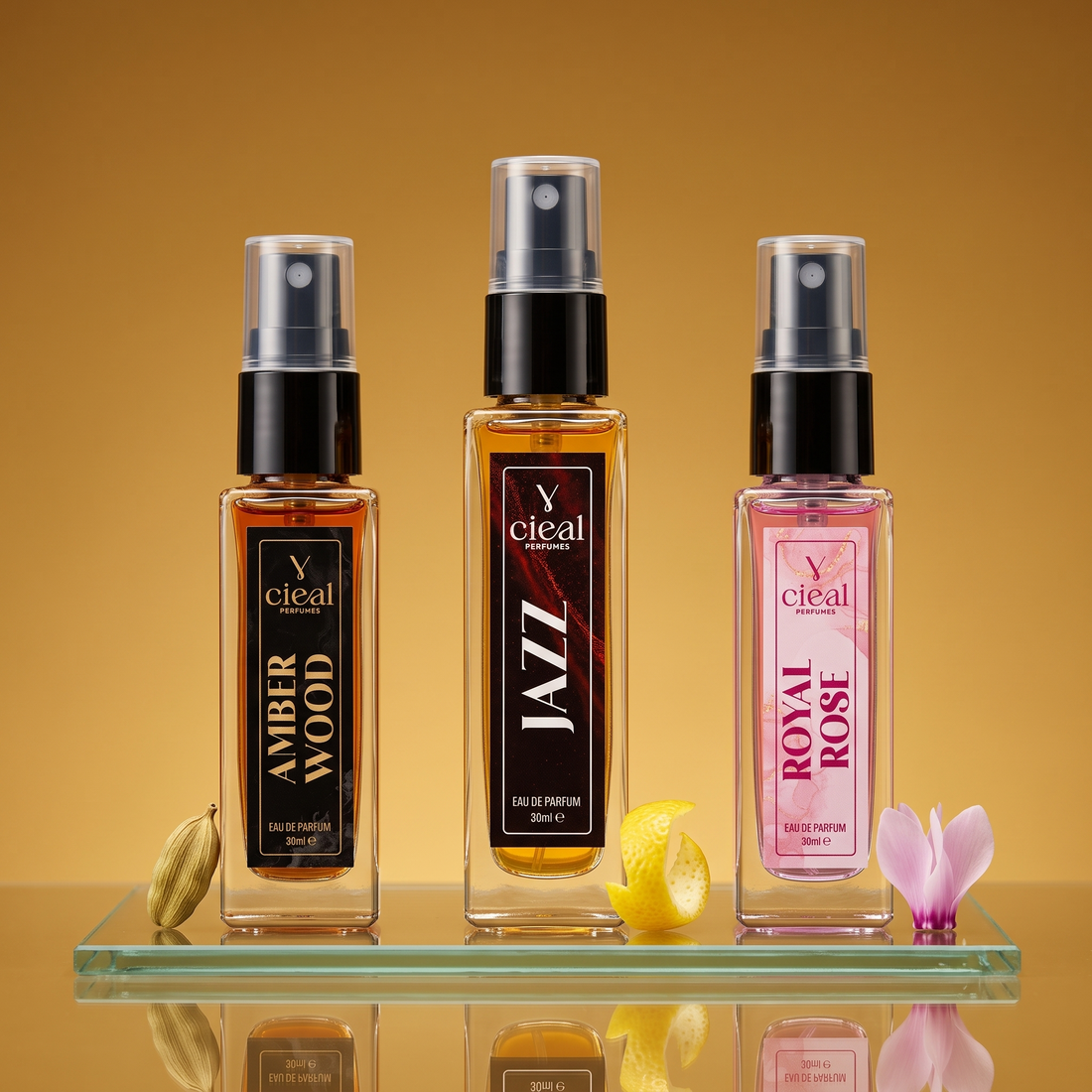 CIEAL Perfume Spray Gift Set of 3 – Amber Wood, Royal Rose &Jazz – 8ml Each