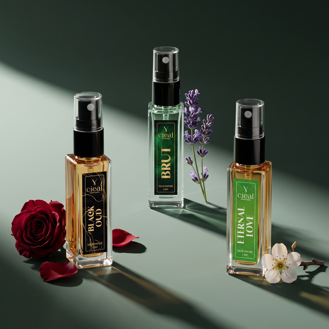 CIEAL Perfume Spray Gift Set of 3 – Black Oud, Eternal Love & Brut – 8ml Each