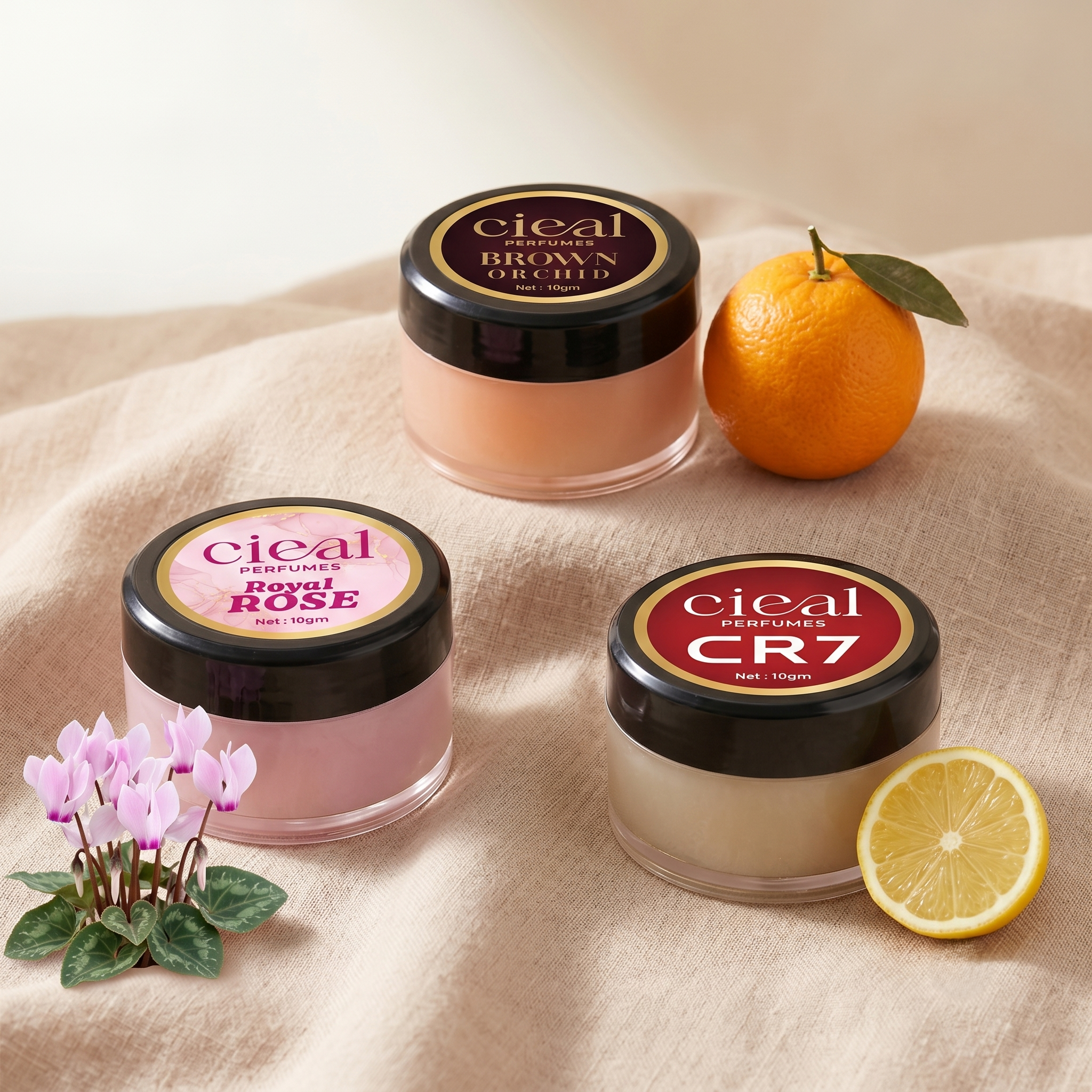 CIEAL Solid Perfume Set of 3 – Brown Orchid, Royal Rose & CR7 | 10g Each