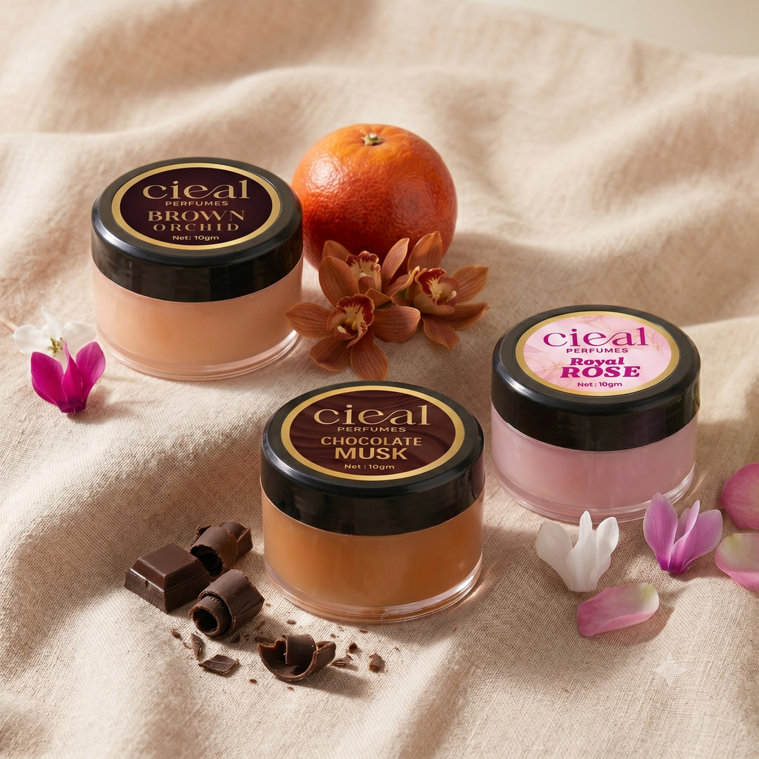CIEAL Solid Perfume Set of 3 – Brown Orchid, Chocolate Musk & Royal Rose | 10g Each