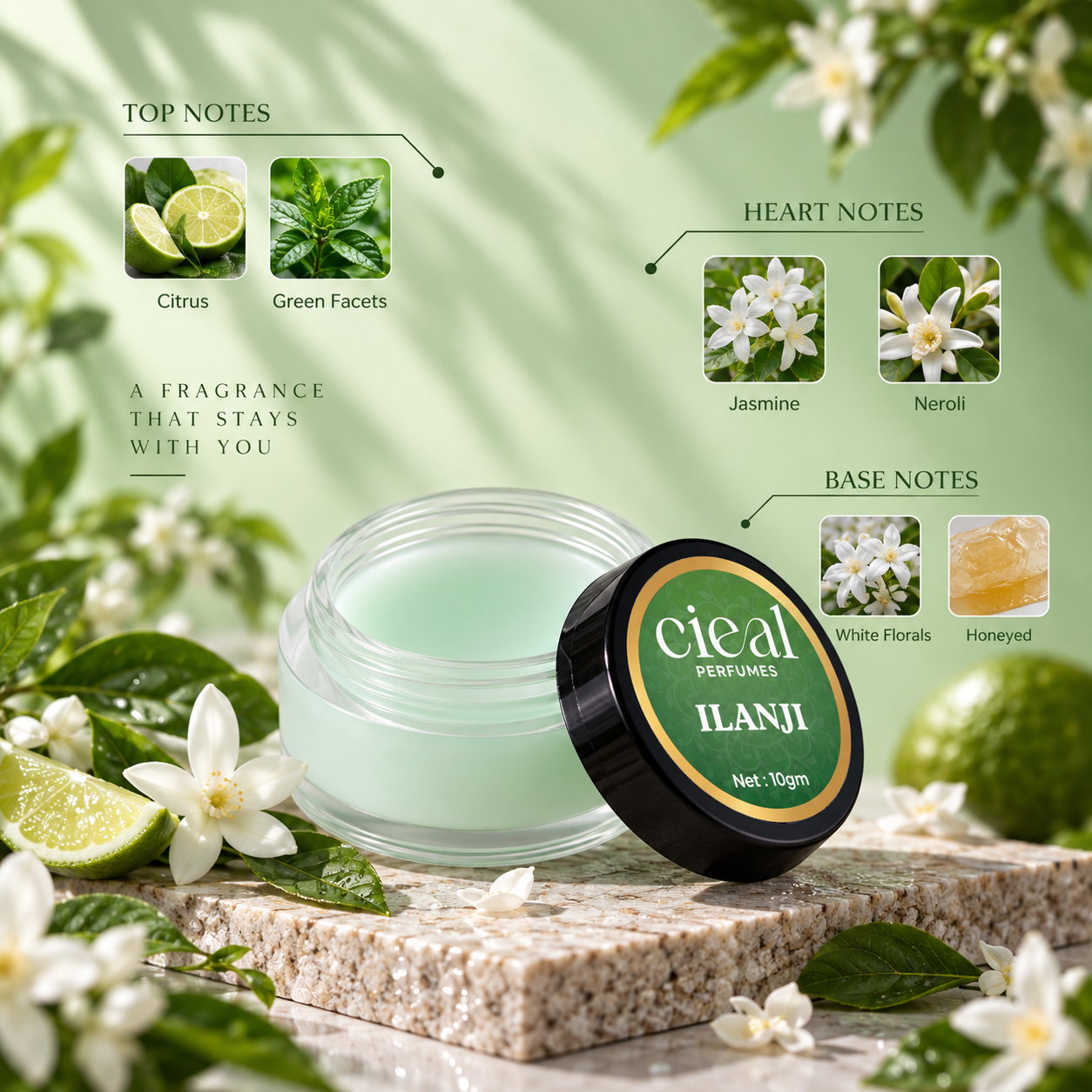 CIEAL Solid Perfume Set of 6 – Hari Chandanam, Divine Essence, Parijatham, Prana, Vanilla & Ilanji 10g Each