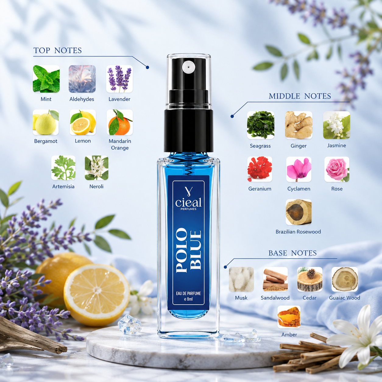 CIEAL Perfume Spray Gift Set of 3 – Polo Blue, Royal Rose & Open – 8ml Each