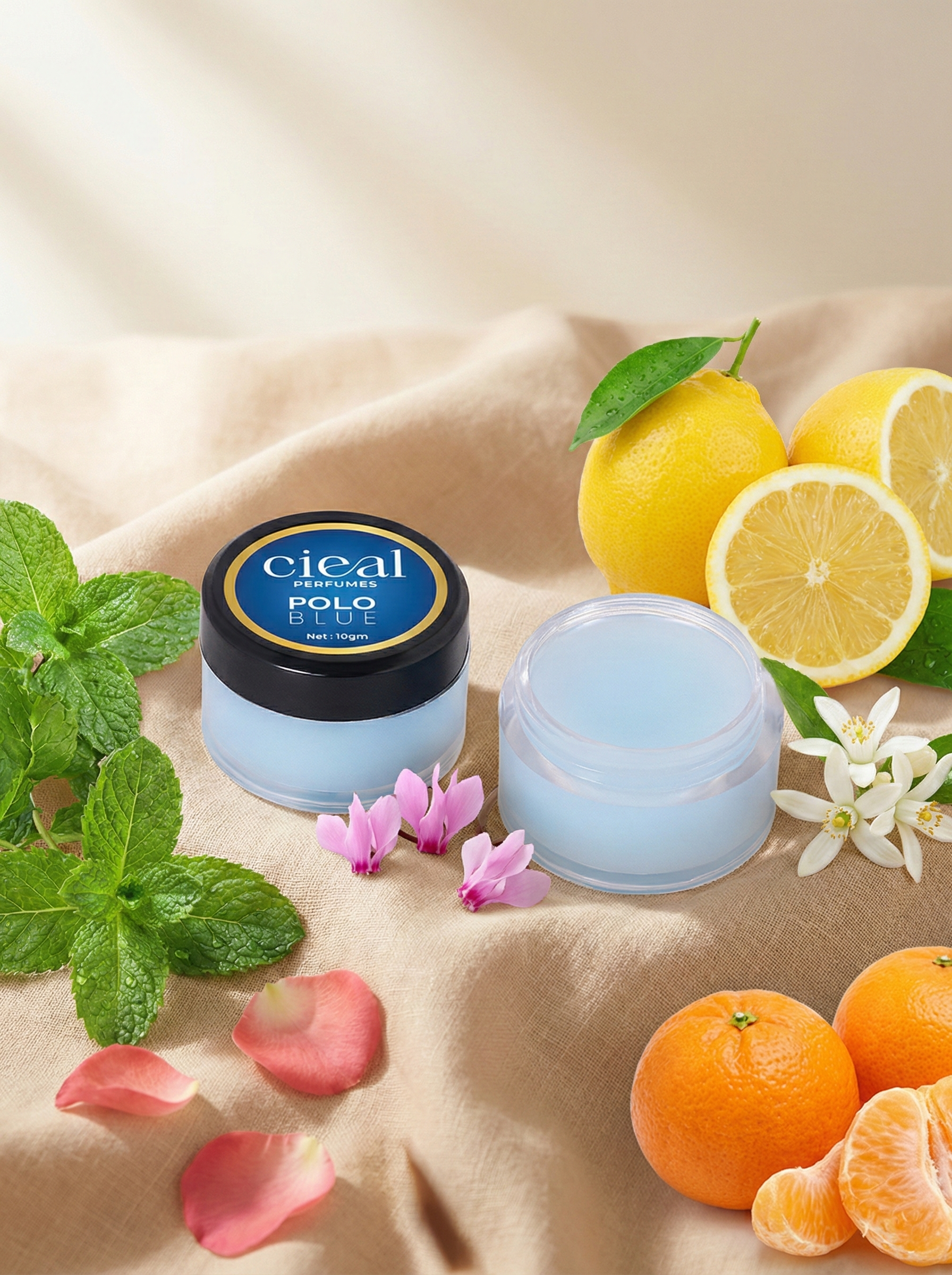 CIEAL Solid Perfume Master Set of 6 – Polo Blue, Brown Orchid, Eternal Love, Black Oud, CR7 &amp; Royal Rose | 10g Each