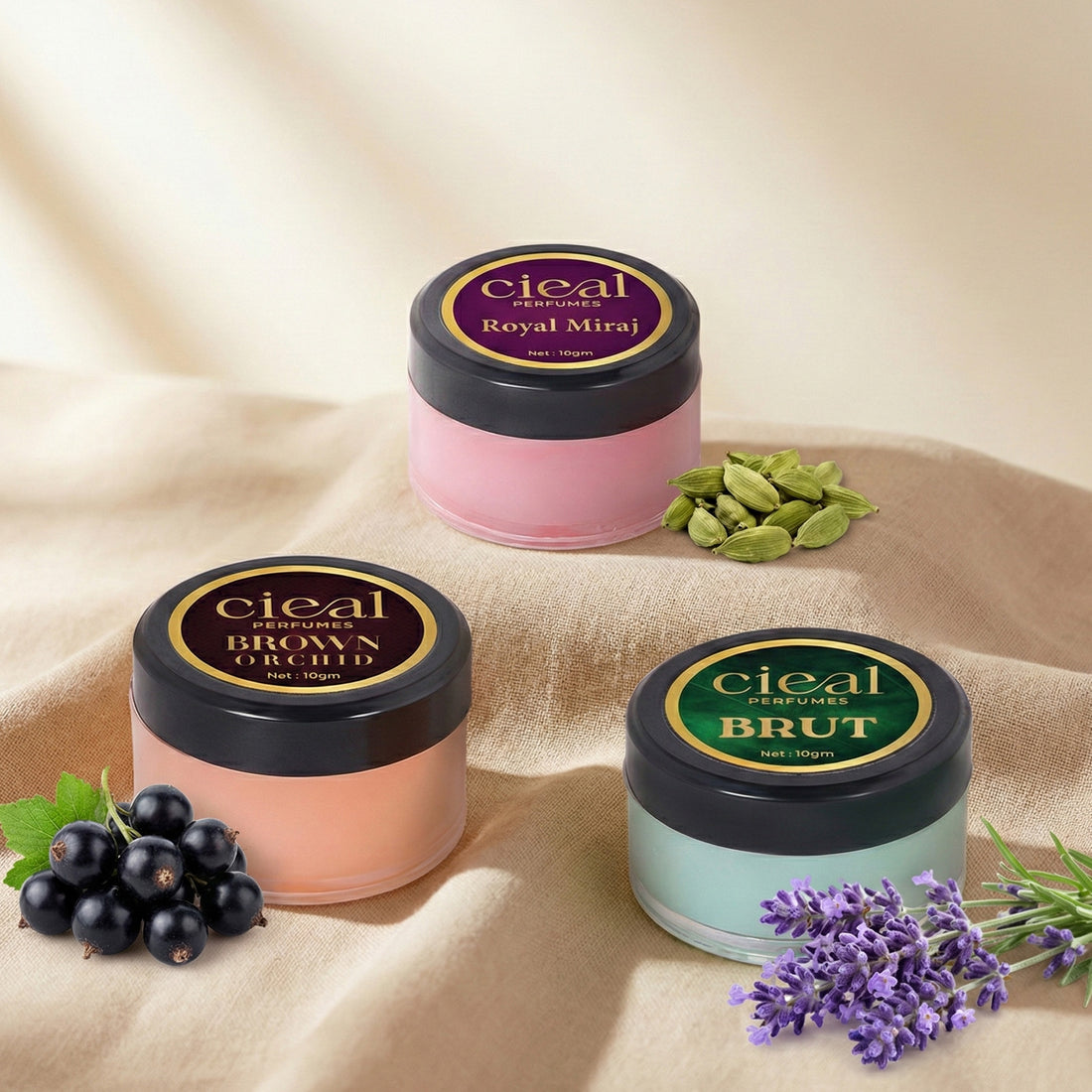 CIEAL SOLID PERFUME SET OF 3 – BRUT | BROWN ORCHID | ROYAL MIRAJ